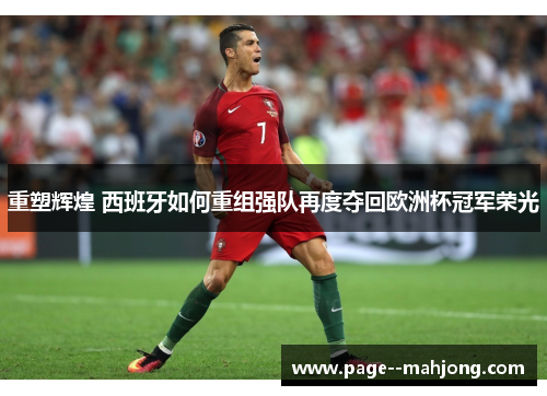 重塑辉煌 西班牙如何重组强队再度夺回欧洲杯冠军荣光 重塑辉煌 西班牙如何重组强队再度夺回欧洲杯冠军荣光